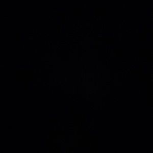 Meet your Posher, Isaiah